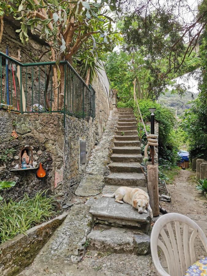 Itaca Hotel Varazze Luaran gambar