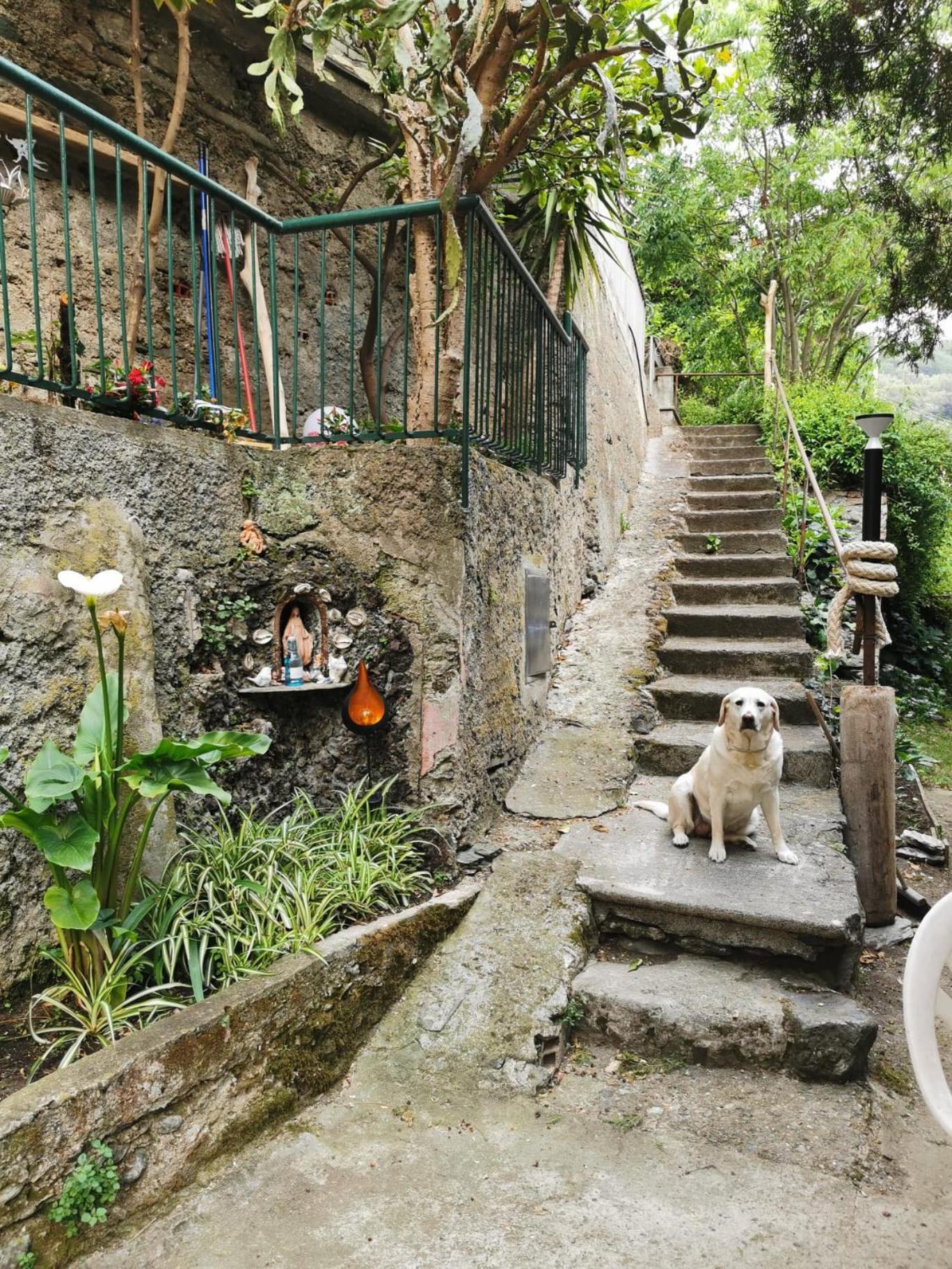 Itaca Hotel Varazze Luaran gambar
