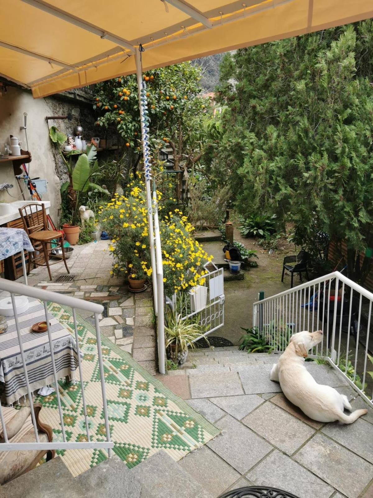 Itaca Hotel Varazze Luaran gambar